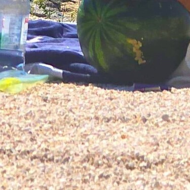 Lubenica na plaži
