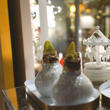 Božićni izlog Saše Šekoranje - 12