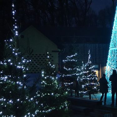 Advent u Divljem srcu grada nadahnut je bajkama Ivane Brlić-Mažuranić - 4