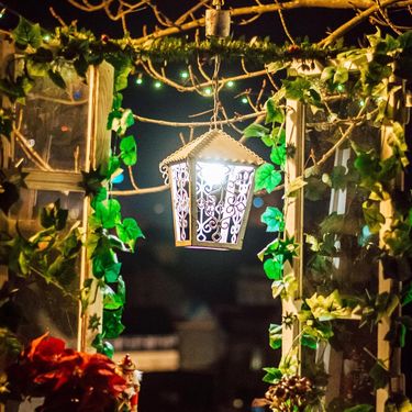 Advent u Zagrebu, Matoš & Mačke