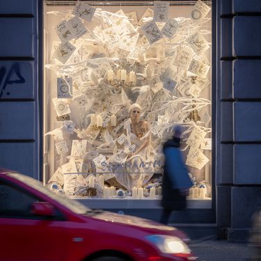 Božićni izlog Saše Šekoranje uređen poput zamrznute šume - 3