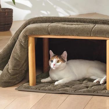 Deka za mačke i pse koja grije na specijalan način - 2