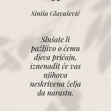 Citati Siniše Glavaševića - 10