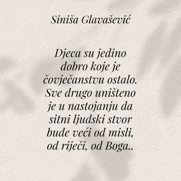 Citati Siniše Glavaševića