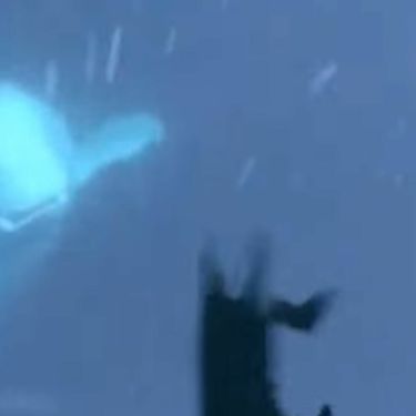 Beluga kit s Iphonom u ustima