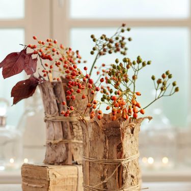 Šipak se itekako može koristiti kao ukras