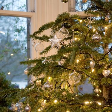 Topla svjetla na boru i zlatni odsjaji svijećnjaka daju domu poseban osjećaj čarolije