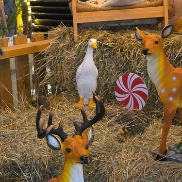 Božićna bajka Stefani i Darka Štefančić