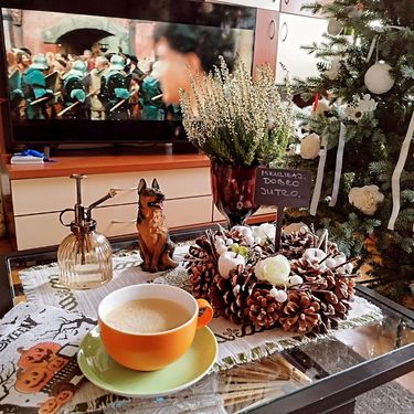 Stan Sonje Vranić iz Novog Sada izgleda poput male zemlje čuda - 5