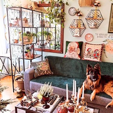 Stan Sonje Vranić iz Novog Sada izgleda poput male zemlje čuda