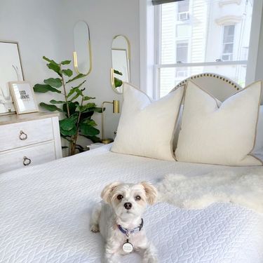 Predivan stan u New Jerseyu - 1