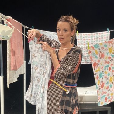 Jelena Hadži-Manev, Dnevnik supermame