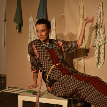 Jelena Hadži-Manev, Dnevnik supermame