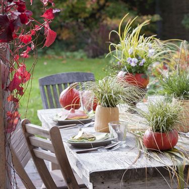 Bundeva kao jesenski ukras za dom - 8