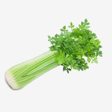 Torba u obliku celera s potpisom Moschina