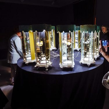 Otvorenje izložbe Nenada Sovilja