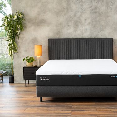 Tempur linija madraca iz Harvey Normana