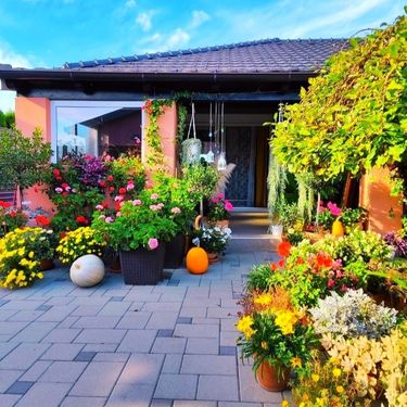 Jesenski dom Martine Ivanišević