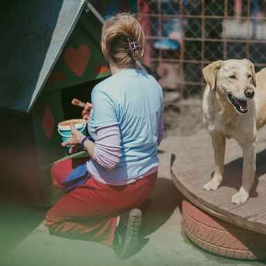 Udruga Pobjede iz Osijeka svake godine organizira proslavu Praznika rada u azilu za pse - 1