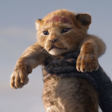 Novi Kralj lavova u kina stiže u srpnju 2019. godine