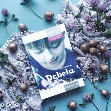 Knjiga Debela Silvije Šesto