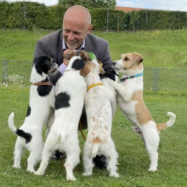 Nenad Bižić iz Velike Gorice stručnjak je za pasminu jack russell terijer - 3