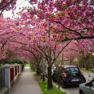 Šulekova ulica u Zagrebu