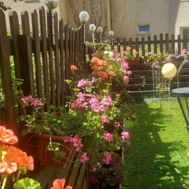 Vrt Nataše Marinković izgleda poput male oaze sreće - 10