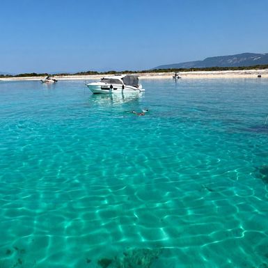 Otok Zeča