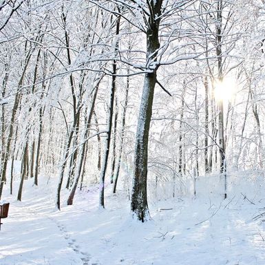 Trim staza pored Termi Sveti Martin