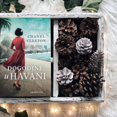 Knjige za božićne poklone - 1