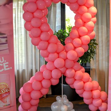 Cedevita-Donna Croatia