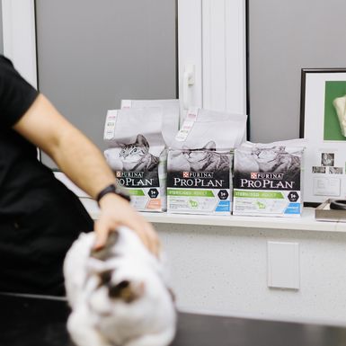 Mia Kovačić i Spock