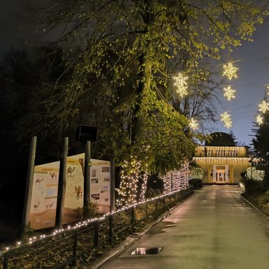 Advent u Divljem srce grada počinje 2. prosinca - 4