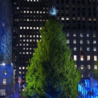Slavni bor u Rockefeller Centeru u New Yorku