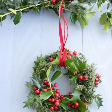 Vjnečić od božikovine