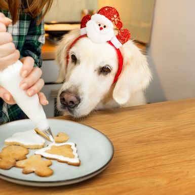 Pripazite na to kakve ostatke blagdanske hrane dajete ljubimcima