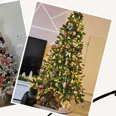 Božićna drva čitateljica portala zadovoljna.hr