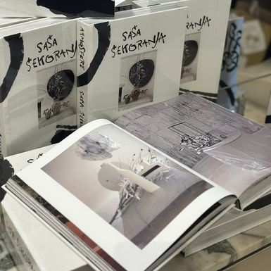 Knjiga Atmosfere Saše Šekoranje