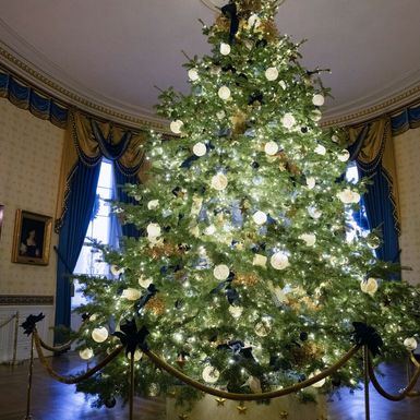 Jedno od božićnih drvaca u Bijeloj kući