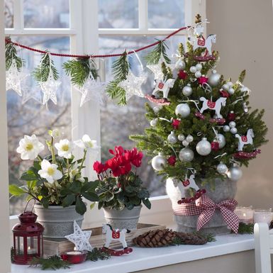 Bijelo cvijeće u božićnim dekoracijama