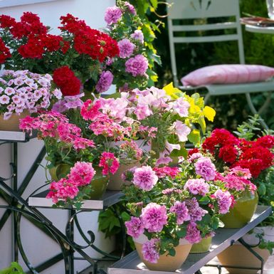 Jedva čekamo šareno cvijeće i uživanje na balkonu