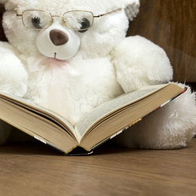Plišani medvjedić čita knjigu