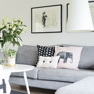 Ukrasni jastuci odmah će uljepšati unajmljeni životni prostor