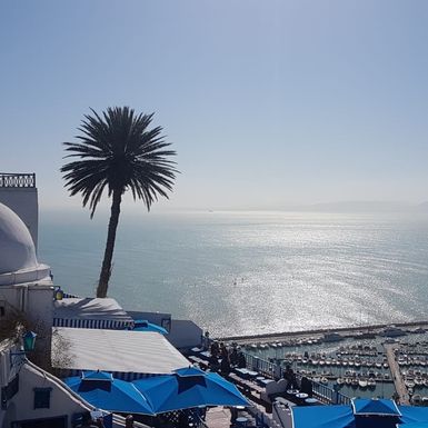 Šarmantni Sidi Bou Said
