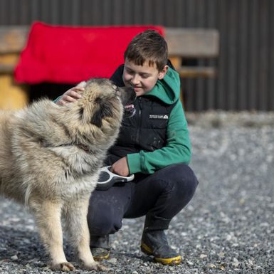 Simon Ozimec ima samo 10 godina i svake subote volontira u Skloništu za nezbrinute životinje Luč Zagorja