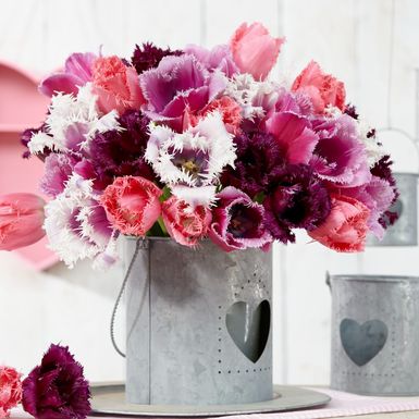 Resasti tulipani su predivan prizor