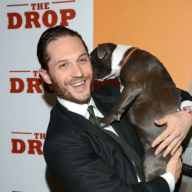 Prema vlastitom priznanju, Tom Hardy pronađe psa za sebe na svakom setu
