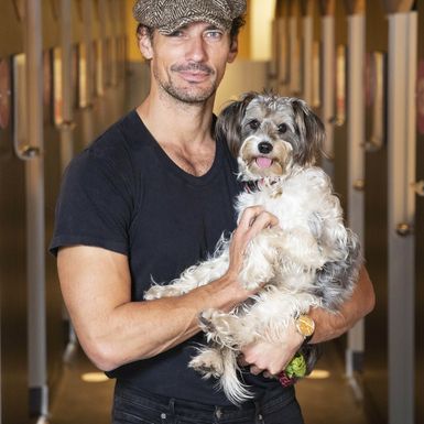 David Gandy i njegova Dora