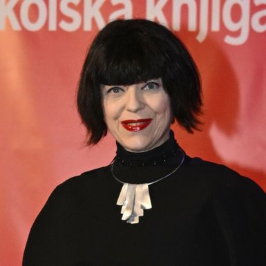 Predstavljanje knjige Propaganda slavnih, autorica Mirele Holy i Nikoline Borčić - 7